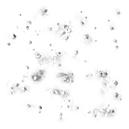 Bird Droppings Ground 1