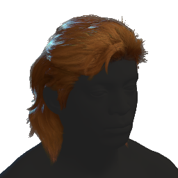Mullet Hair