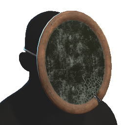 Mirror Mask