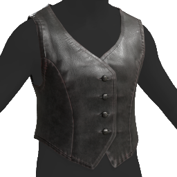 Leather Top