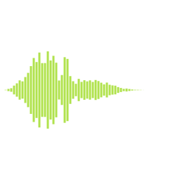 Sfx 10C