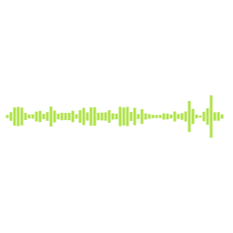 Sfx 19B