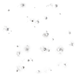 Bird Droppings Ground 2