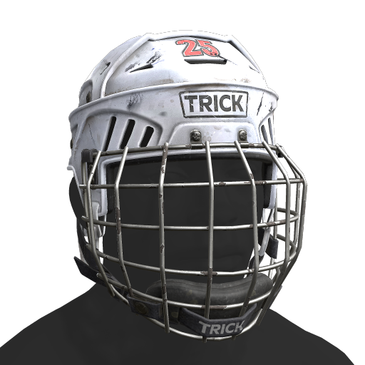 Image of Hockey Helmet for S&box