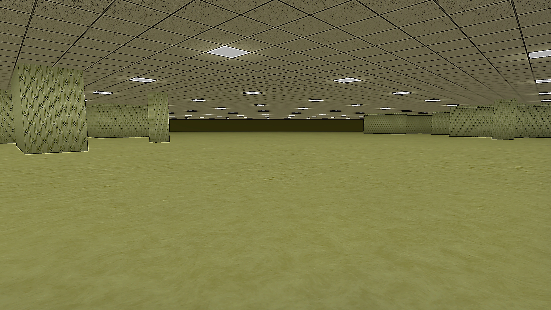 Idiots in the backrooms