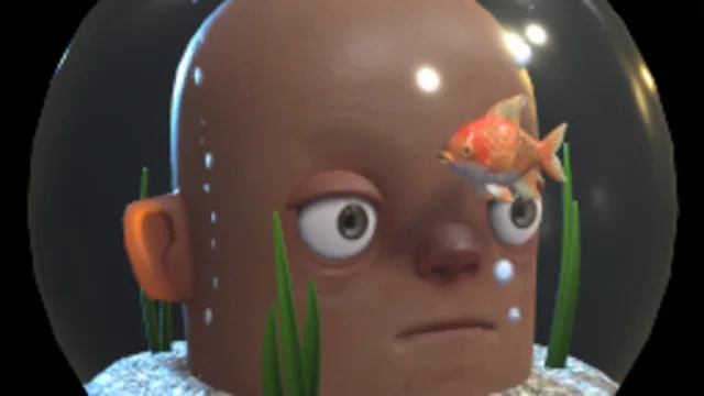 Fishbowl Helmet