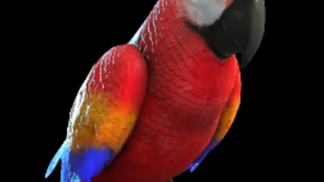 Pet Parrot