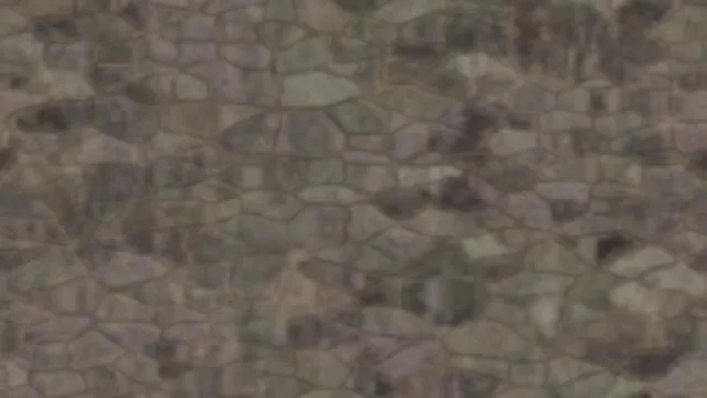 Stone Wall 01