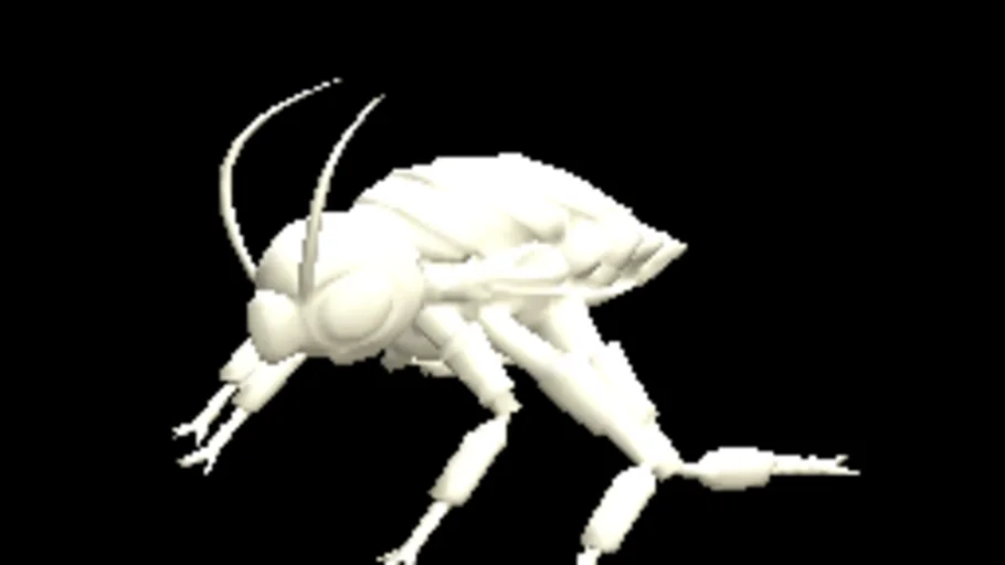 Cockroach