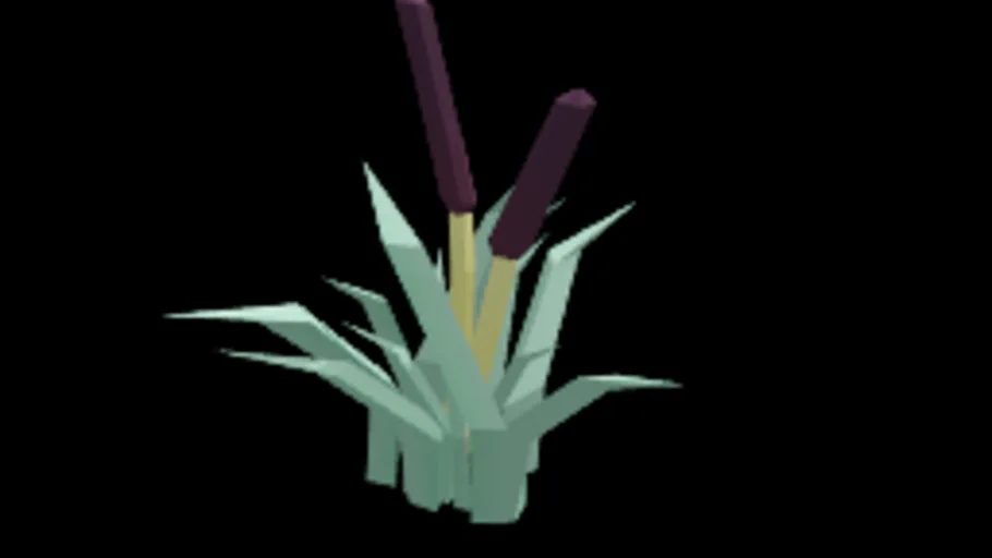 Bulrush 2
