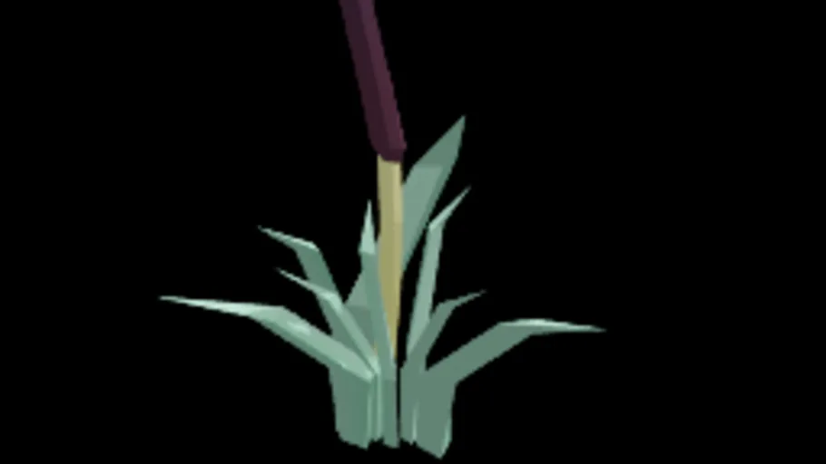 Bulrush 3