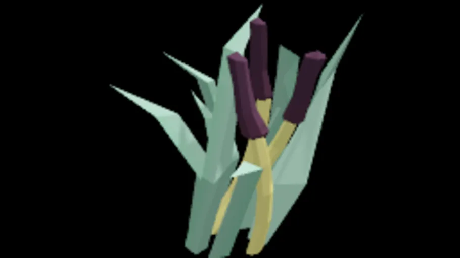 Bulrush 4