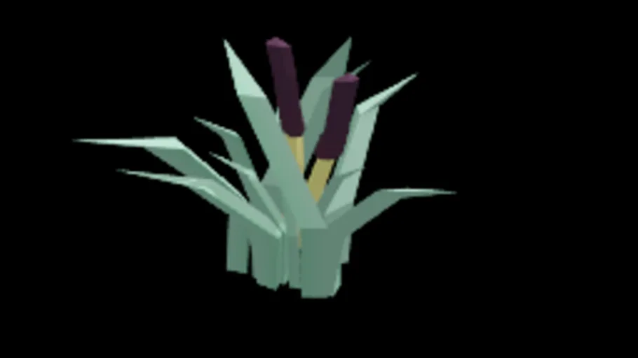 Bulrush 5