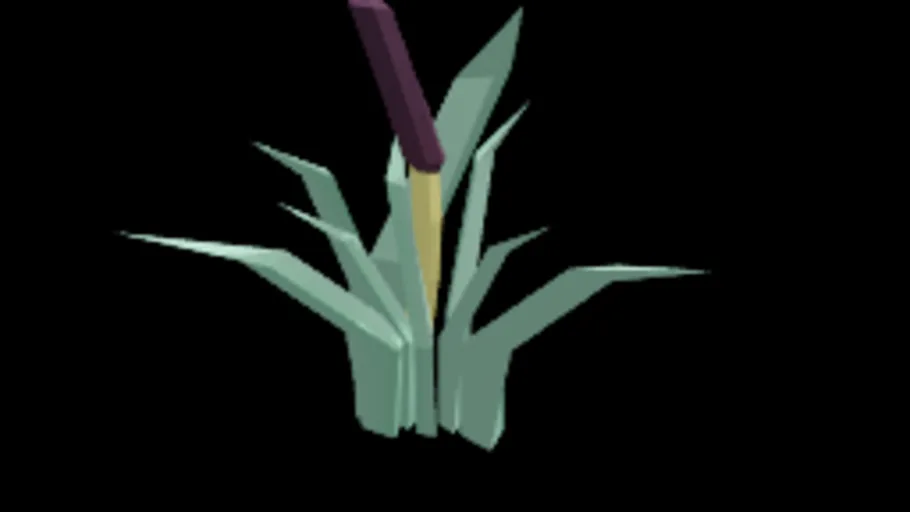 Bulrush 6