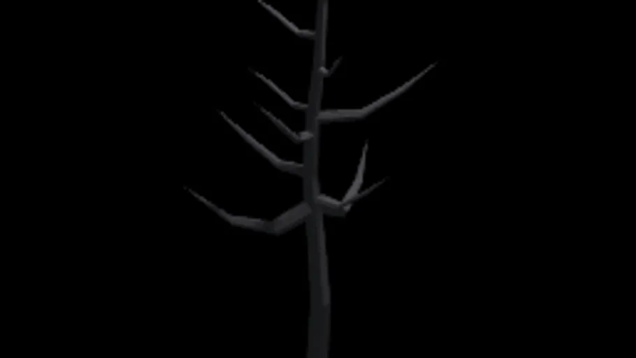 Burnt Tree 1