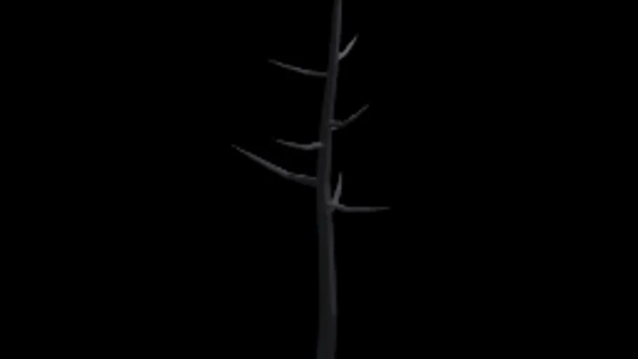 Burnt Tree 3