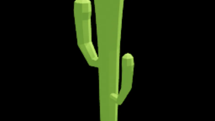 Cactus