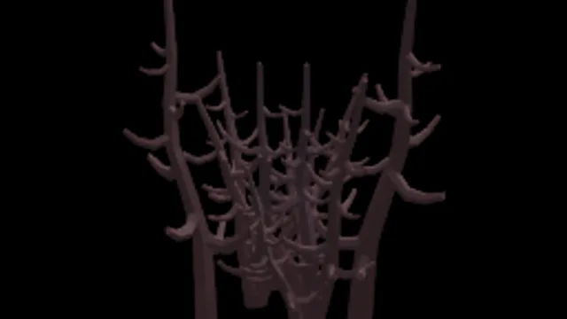 Dead Bush