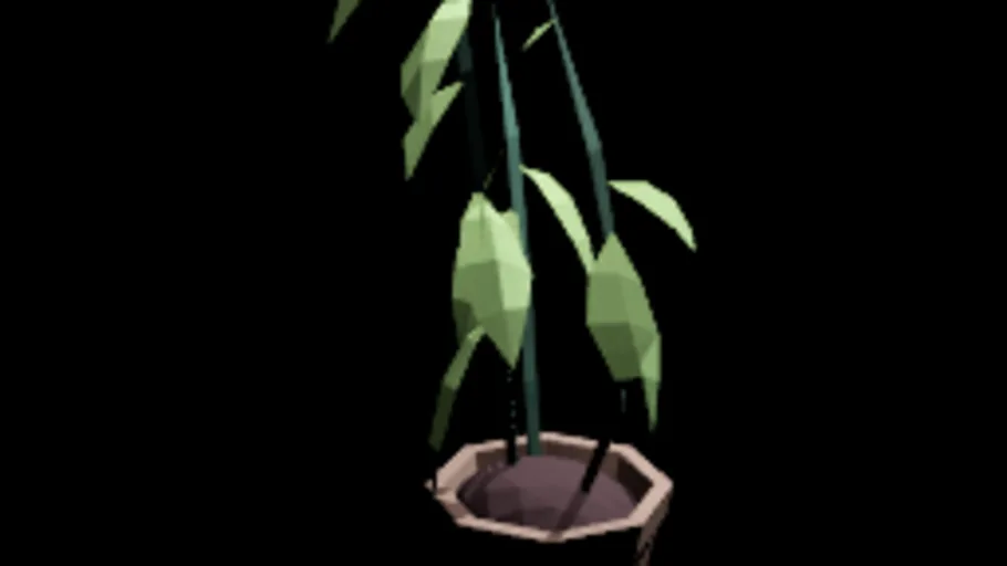 Plant