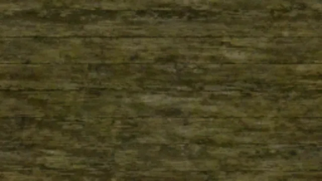 planks027c