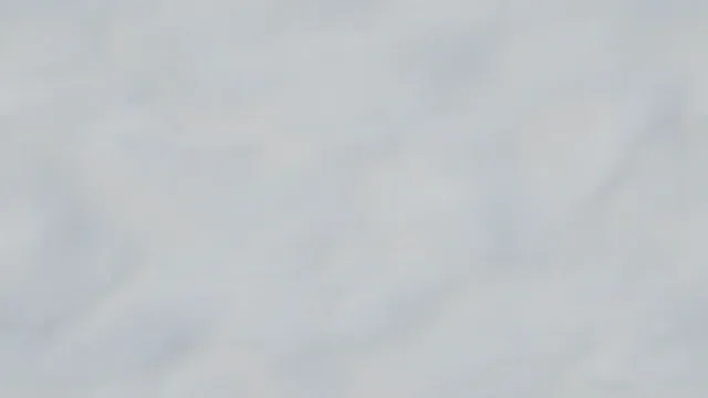 snow001