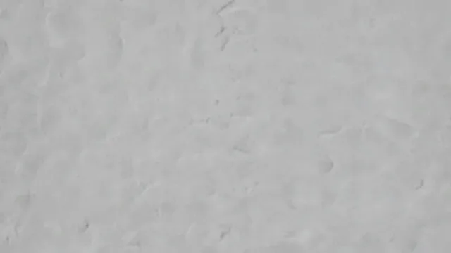 snow006