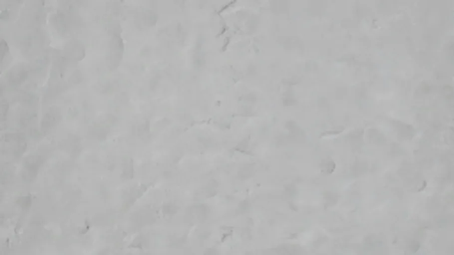 snow006