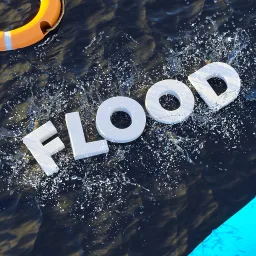 FLOOD: SURVIVAL thumbnail