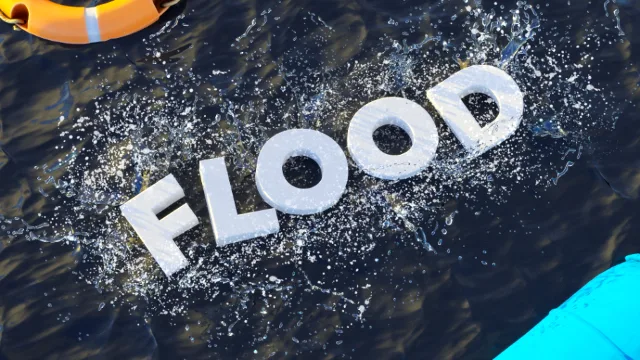 FLOOD: SURVIVAL