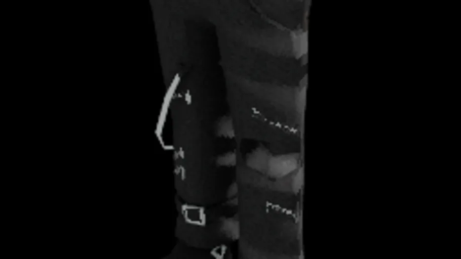 pants