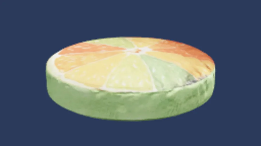 Citrus pillow