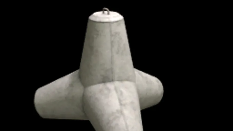 Tetrapod