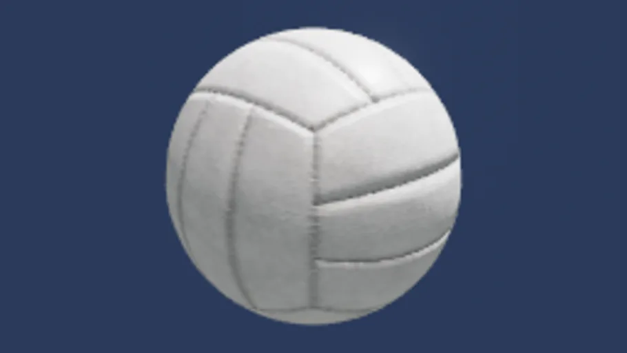 Volley ball