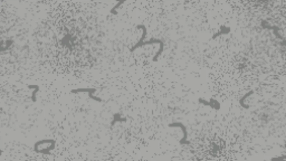 Cartoon Carpet Grayscale