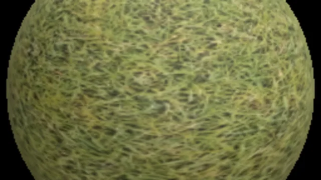 Grass