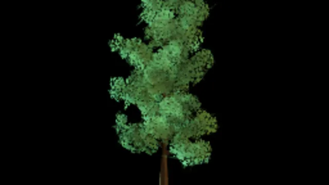 Tree 1a