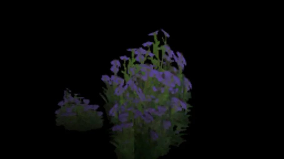 Flower 01