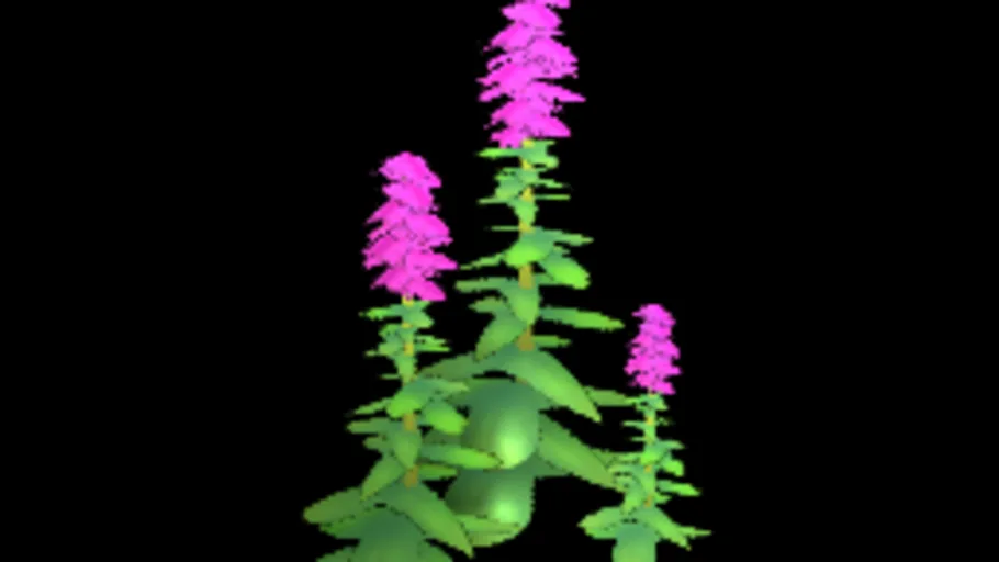 Stylized Lavender