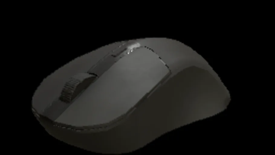 Computer Mouse