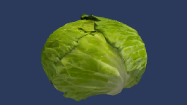 Cabbage