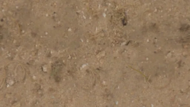 Sandy Gravel 01