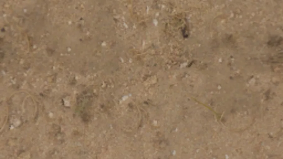 Sandy Gravel 01