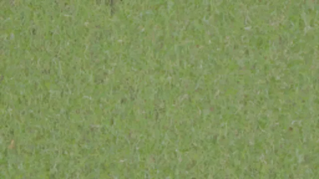 grass_001