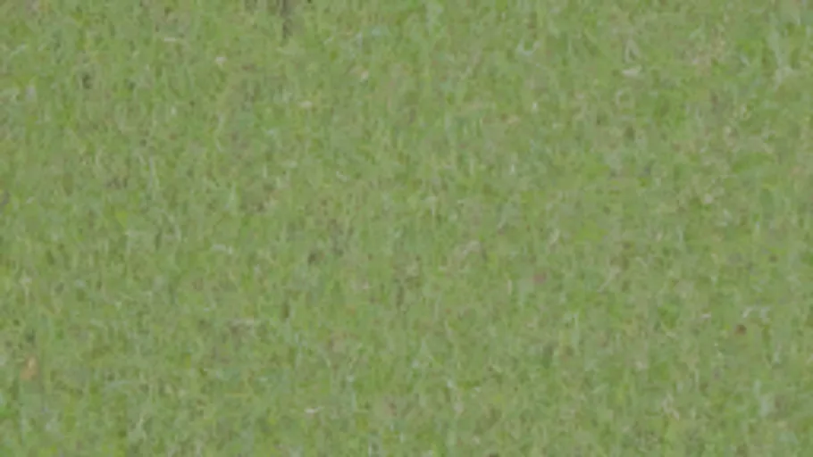 grass_001