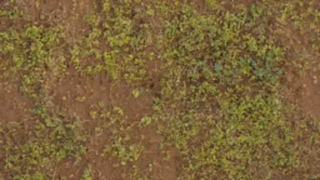 Overgrown mud