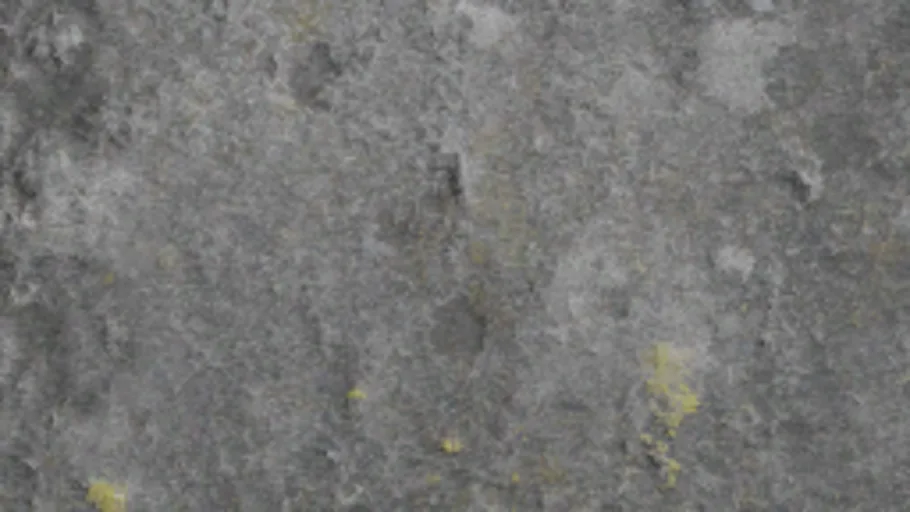 mossywall02_2k