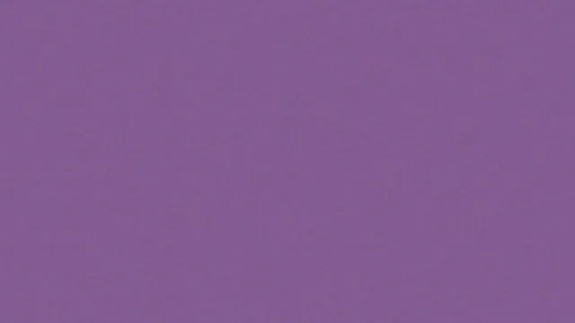 Plaster