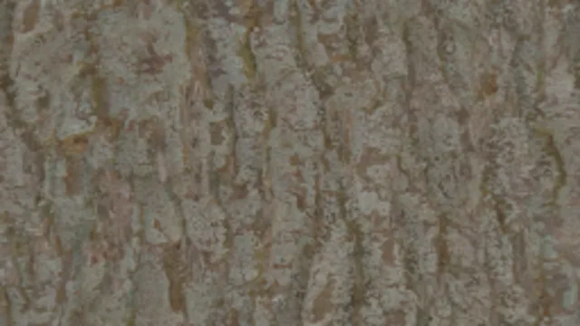 bark_007