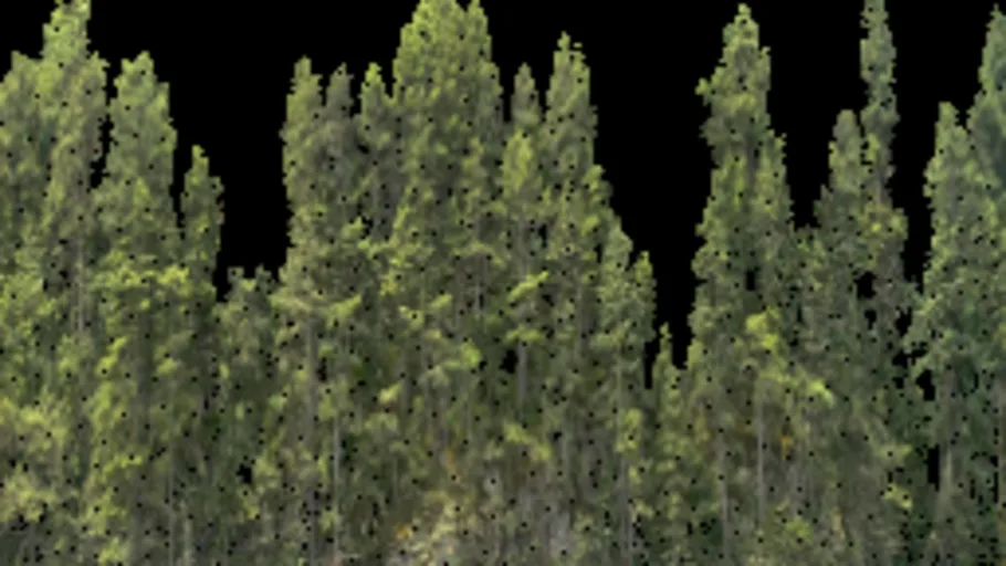 Trees Cutout