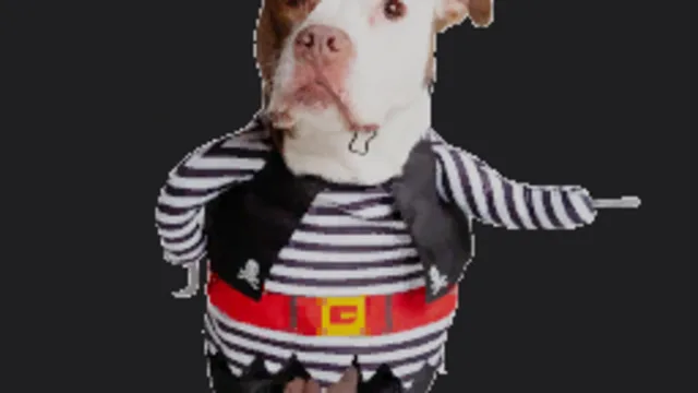 Pirate Dog